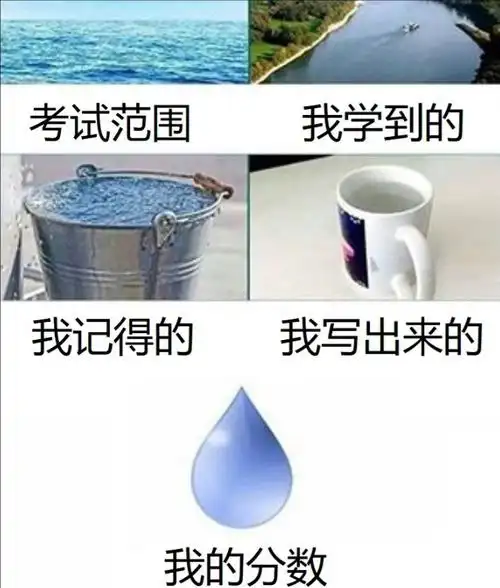 大学生用梗图吐槽期末考试,看后笑得直挠头,仿佛看到曾经的我