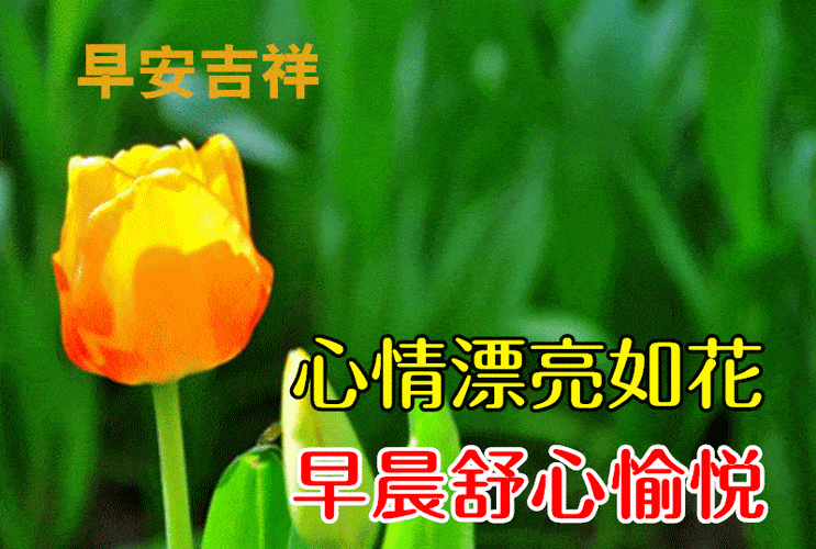 8月29日最漂亮早上好动态表情图片大全早晨好动图美图大全