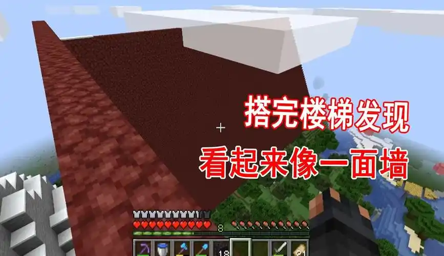 【方块大背头】我的世界1.