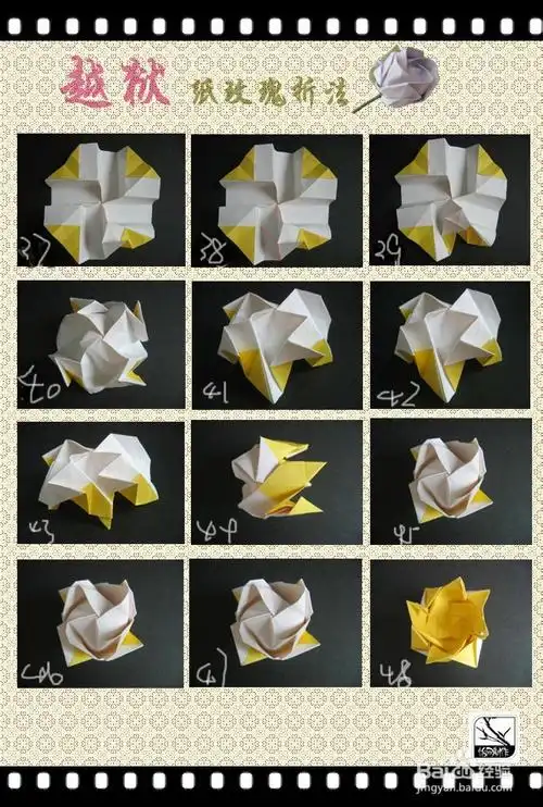 人民币玫瑰花的折法