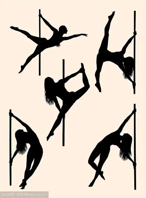 美丽的钢管舞剪影01