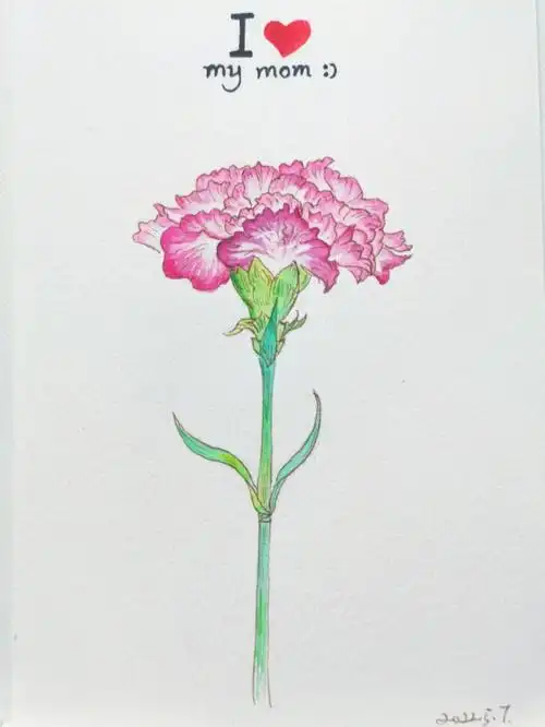 水彩037母亲节的康乃馨