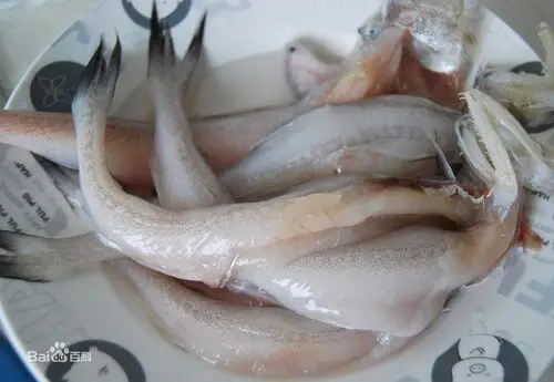 水潺在福建叫做什么