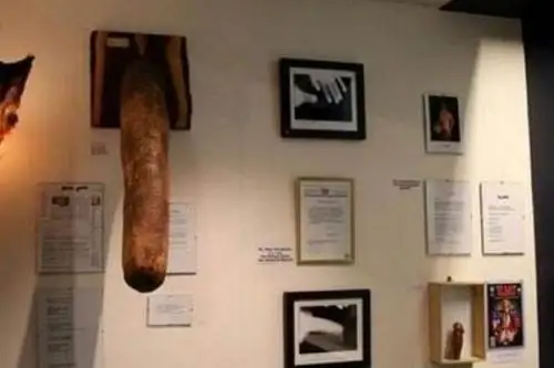 世界上最大的男性生殖器疲软时36厘米最长达60厘米