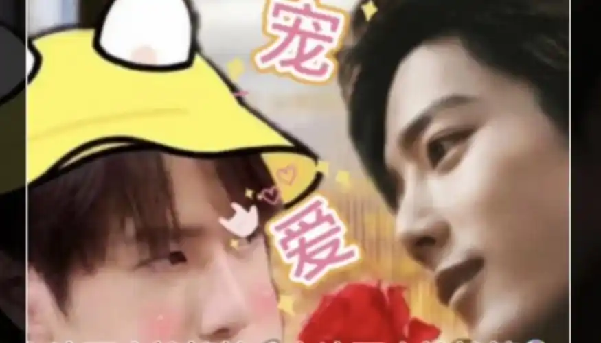 《宠爱》113 宠妻狂魔肖战vs小傻子王一博 战山为王 生子 双洁