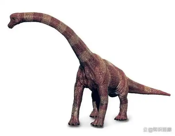 腕龙:最高的恐龙