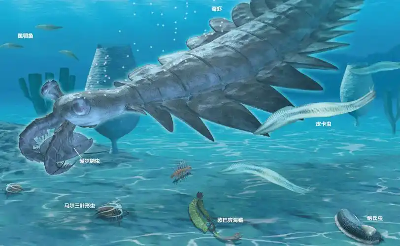 生命的演化历史乘坐纸上时光机回溯那些史前生物