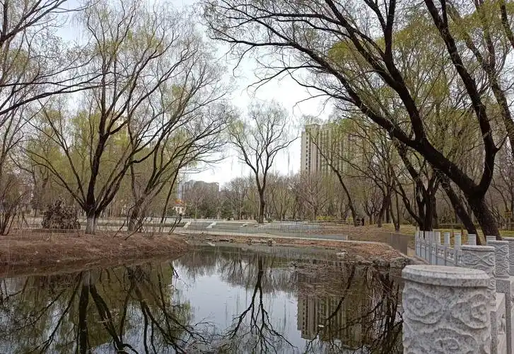 免费公园之黄渠公园 - 社区中隐藏的世外桃源_小区_湖面_健身