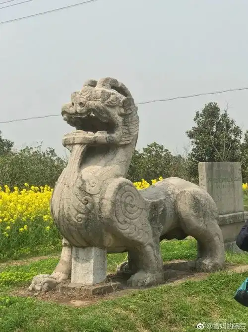 如果1500年前的文物会说话苏小游带你实地探访南京貔貅