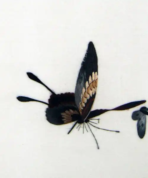 苏绣单面绣 《蝶恋花》刺绣