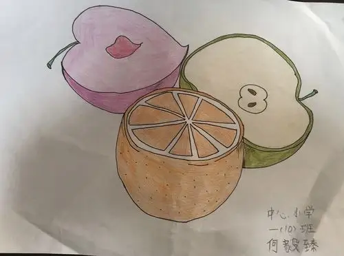 罗城中心小学一年级美术《切开的水果》优秀作业展