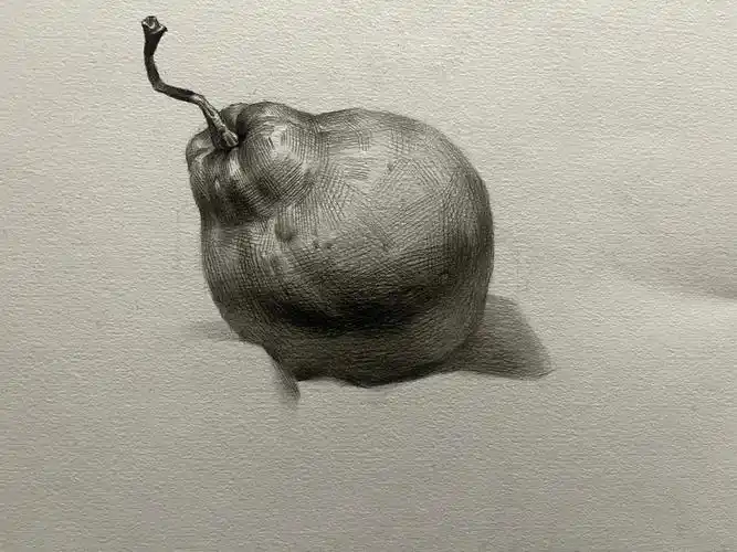 素描梨步骤图