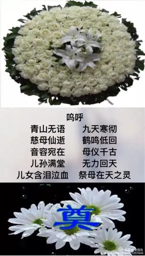 沉痛悼念母亲去世祭文