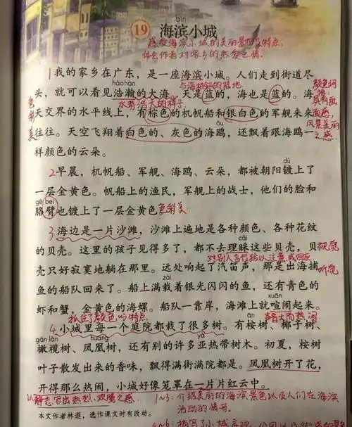 三年级第19课《海滨小城》预习,感受海滨城市的美丽
