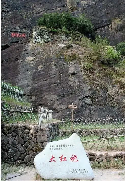 1. 武夷山母树大红袍