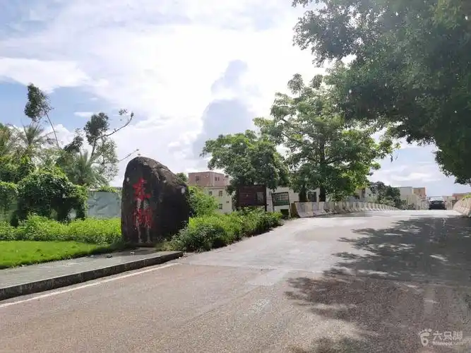 白蕉镇调研禾益围片区