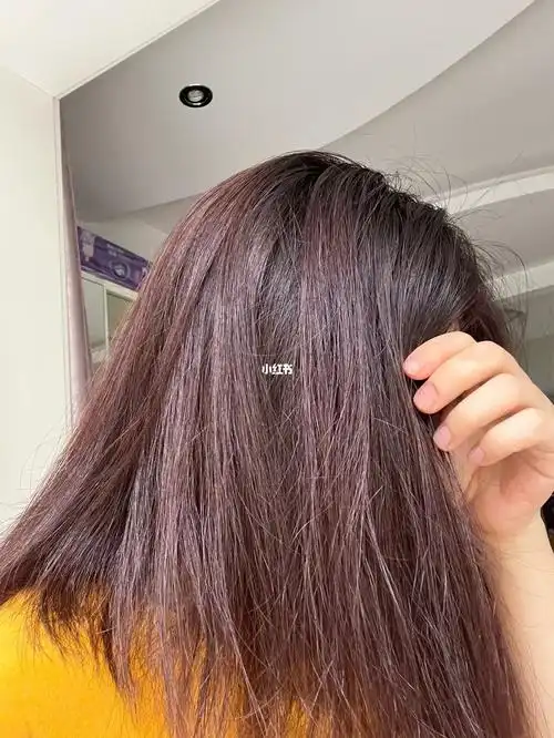 欧莱雅臻萃精油染发膏4.45桃木褐棕