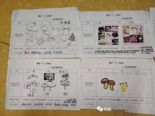 小一班蘑菇力吖