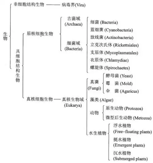研究任务  ①利用有益微生物资源为人类造福,防止