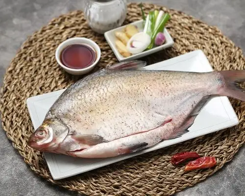 冷冻三去密云水库武昌鱼500g