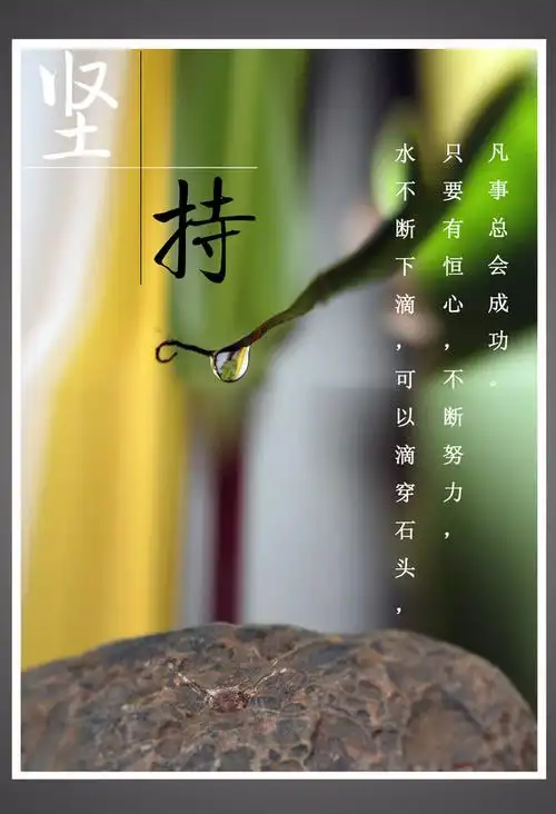 坚持写作,遇到不一样的你!