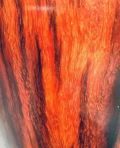 印度小叶紫檀纹理图解