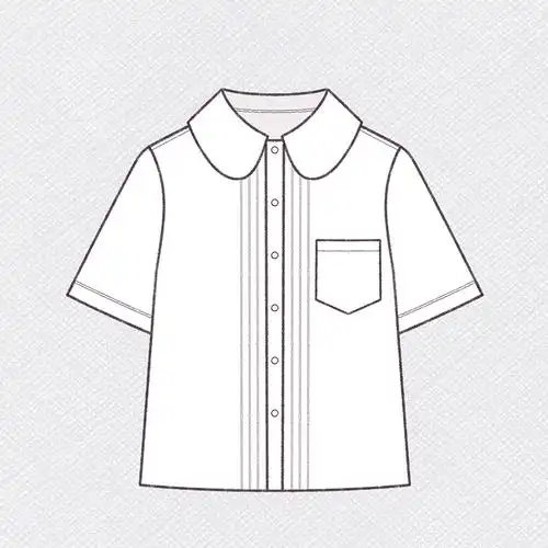 特价新款设计衬衫白衬衫jk长袖原创风琴领薄款衬衫