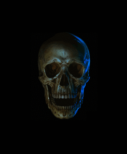 骷髅gif恐怖gif可怕gif害怕gif