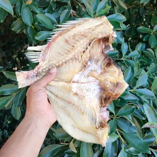 【推荐】深海红丁公鱼 咸鱼干 肉质鲜美 送礼佳品