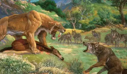 图解:恐狼群与剑齿虎