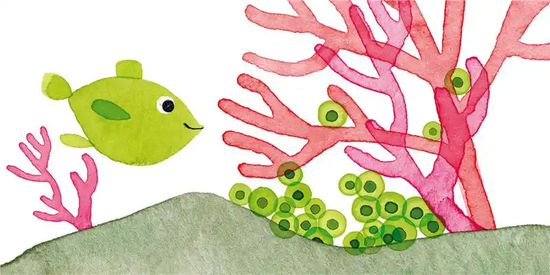 《鱼妈妈》鱼妈妈最后知道怎么保护自己的卵宝宝了吗?