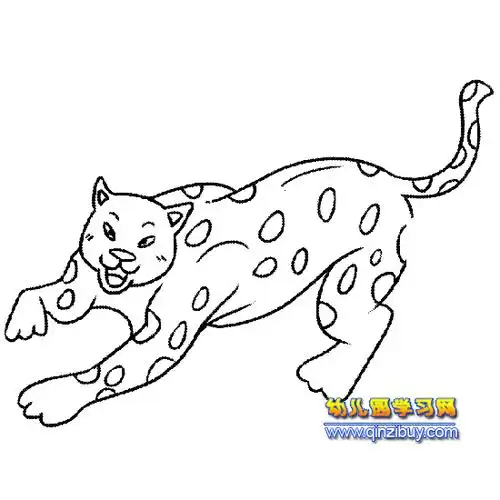 奔跑的豹子简笔画5