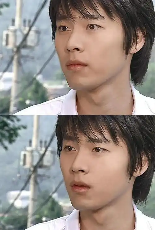 靠《冬日恋歌》走红的裴勇俊,靠《汉城奇缘》走红的金锡勋,靠《星梦