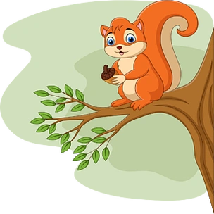 卡通松鼠在树枝上抱着松果