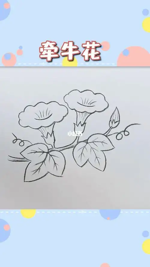 十秒学会画简笔画牵牛花赶紧试试吧