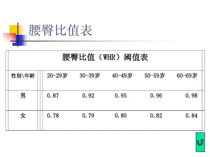所有分类 高等教育 医学 减肥 与 针灸ppt 关于针灸减肥的ppt 腰臀比