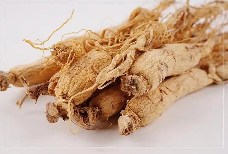 特异别称生产雪条参,红条参特异来源于生产中药材基