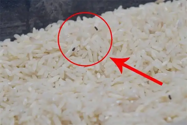 看起来保质期很长,结果过几天就变质的5种食物,已经过期还在吃