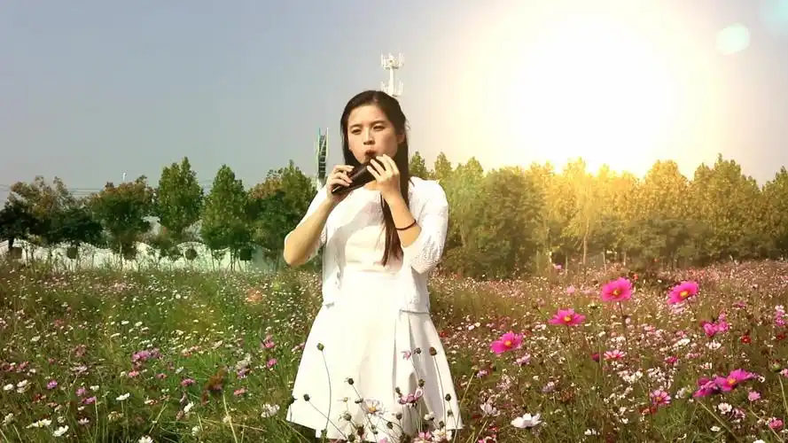 陶笛 演奏《棠梨煎雪》