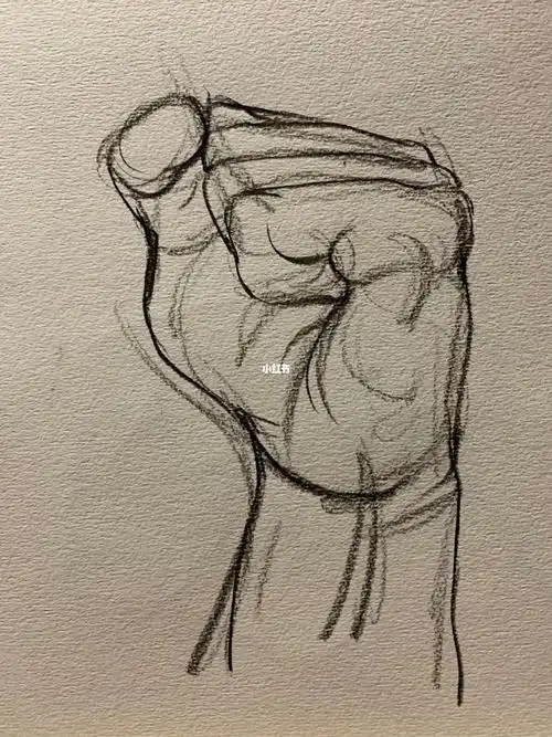 速写60天挑战day3060手部速写