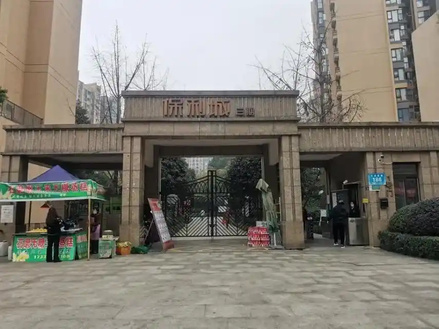 【保利城三期】新都大丰街道寸龙桥 - 抖音