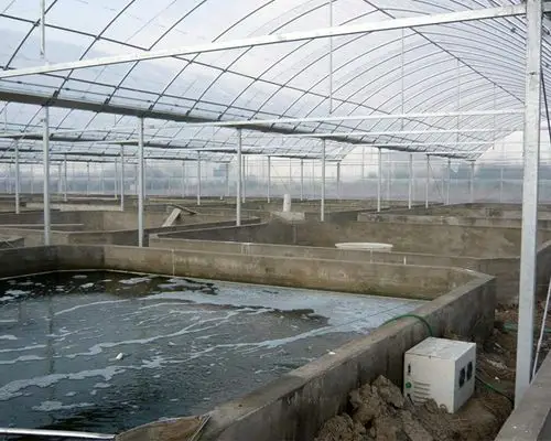 水产养殖大棚