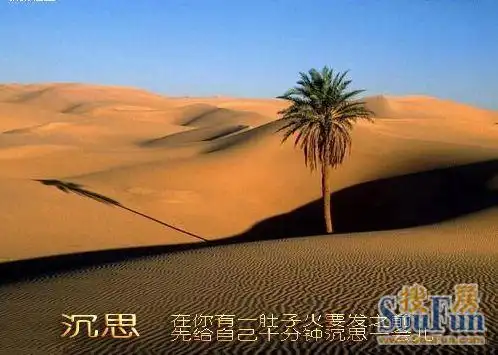 人生的十种意境