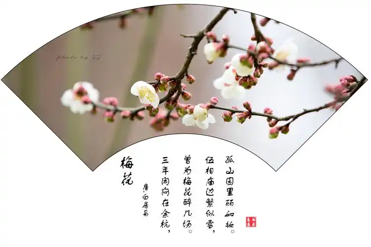 "寻找春天"---咏梅