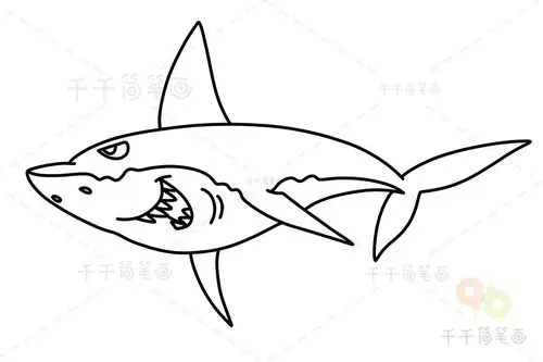 涂色画鲨鱼怎么涂彩色好看shark coloring page_海底世界涂色画简笔画