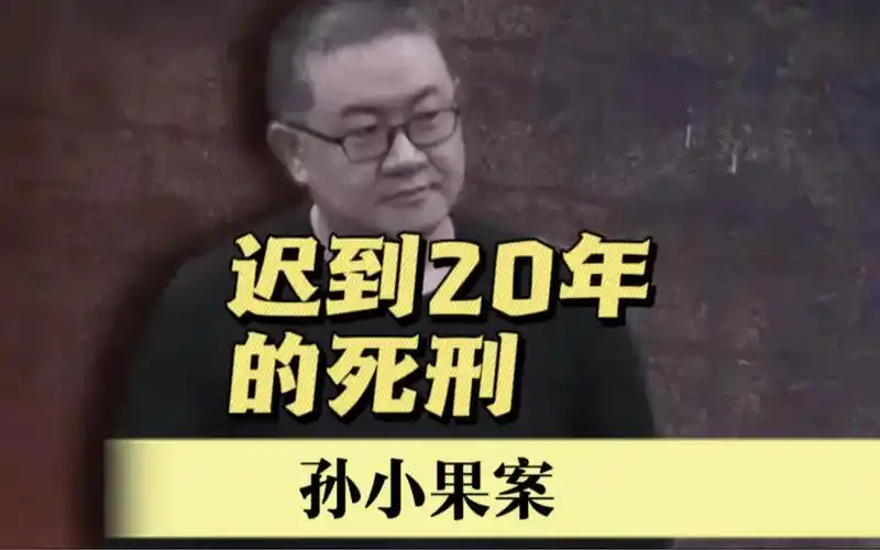 迟到20年的死刑#孙小果案