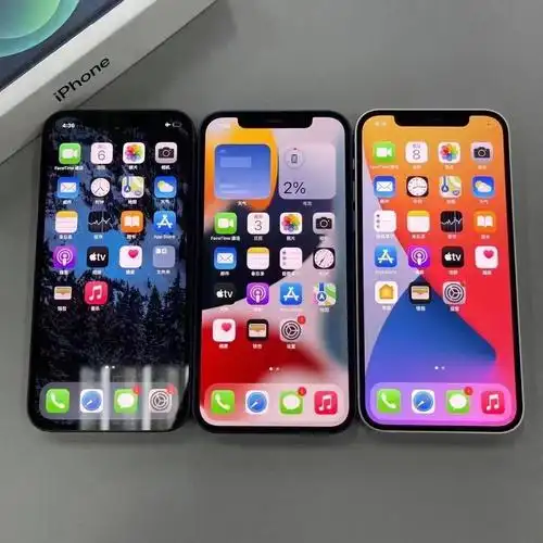 国行12,128g双卡全网通,全原靓机904099#苹果12