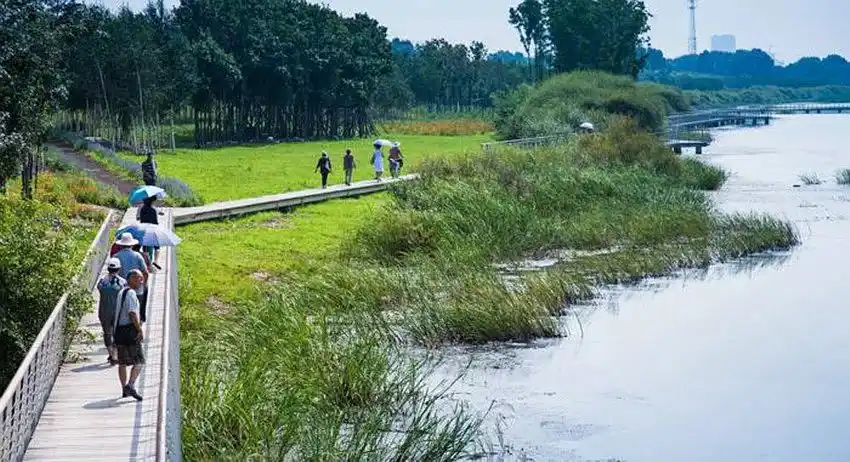 现代城市滨水景观设计的特殊性及其生态设计方法