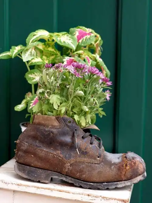 爱花的捷克人用旧皮鞋做花盆,别有情趣,也想得出来.