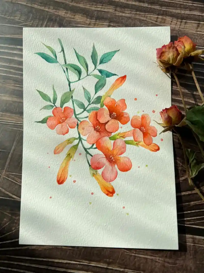 水彩花卉|凌霄花过程图 #水彩手绘 #水彩教程 #零基础学画 - 抖音